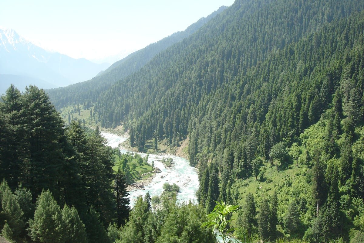 Scenic view of Aru Valley near Pahalgam showing green alpine pastures and pine-covered mountains